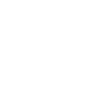 Neo Initiative